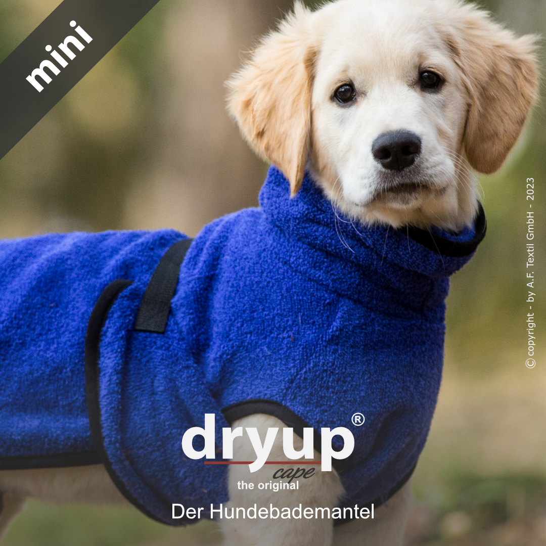 dryup® cape Mini BLUEBERRY - Der original Hundebademantel
