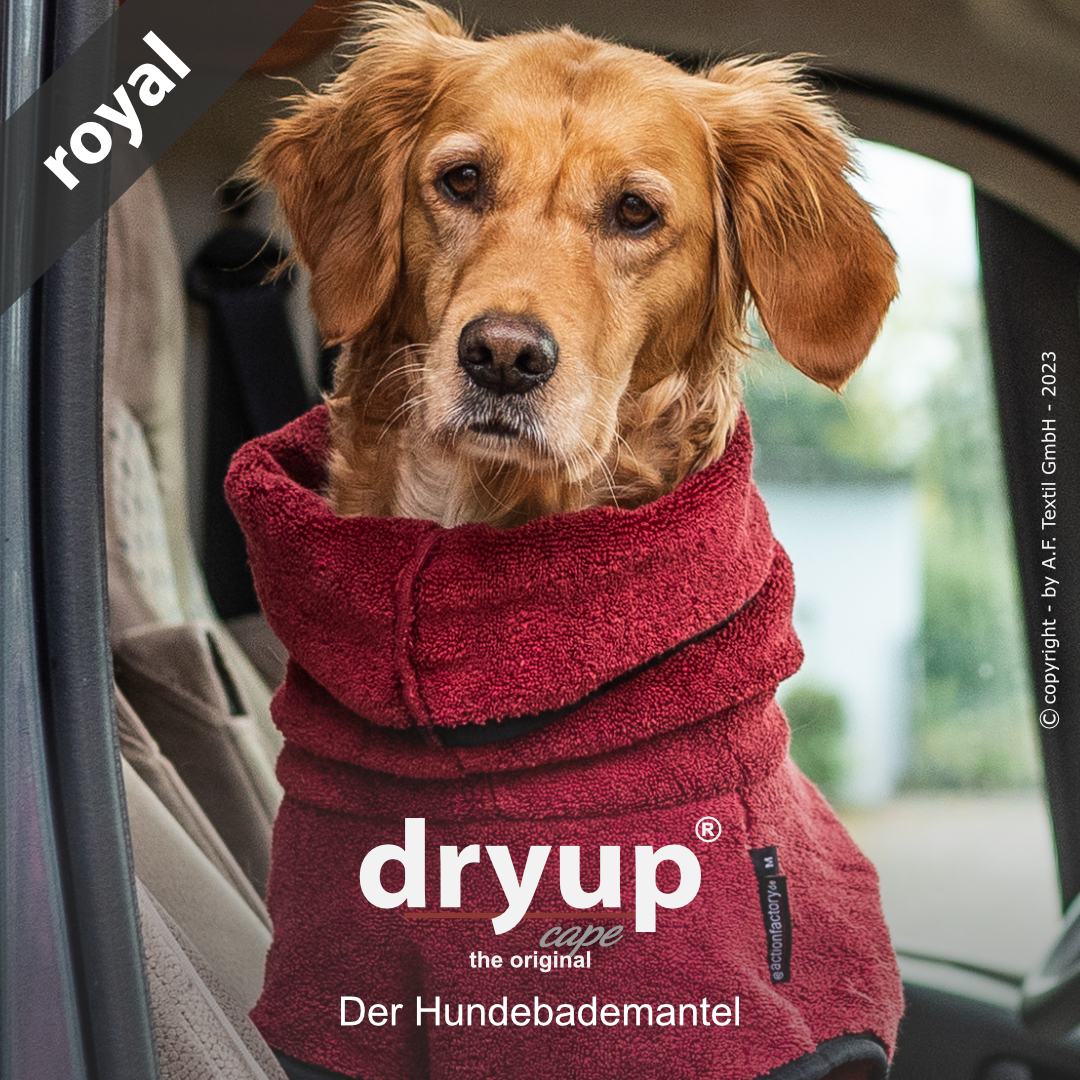 dryup® cape ROYAL bordeaux - Der original Hundebademantel