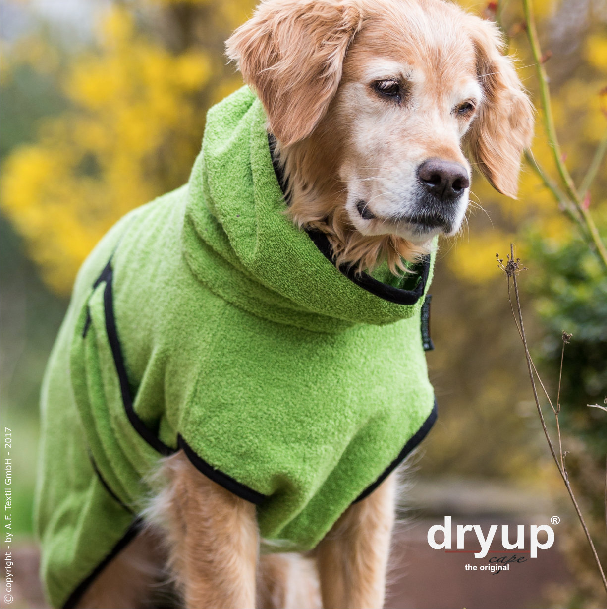 Dryup cape edition Kiwi