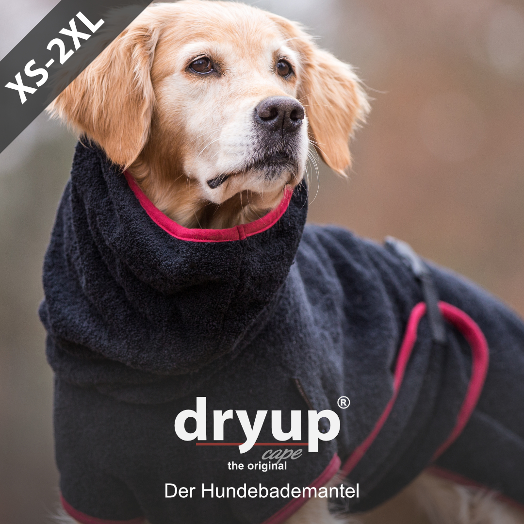 dryup® cape BLACK - The original dog bathrobe