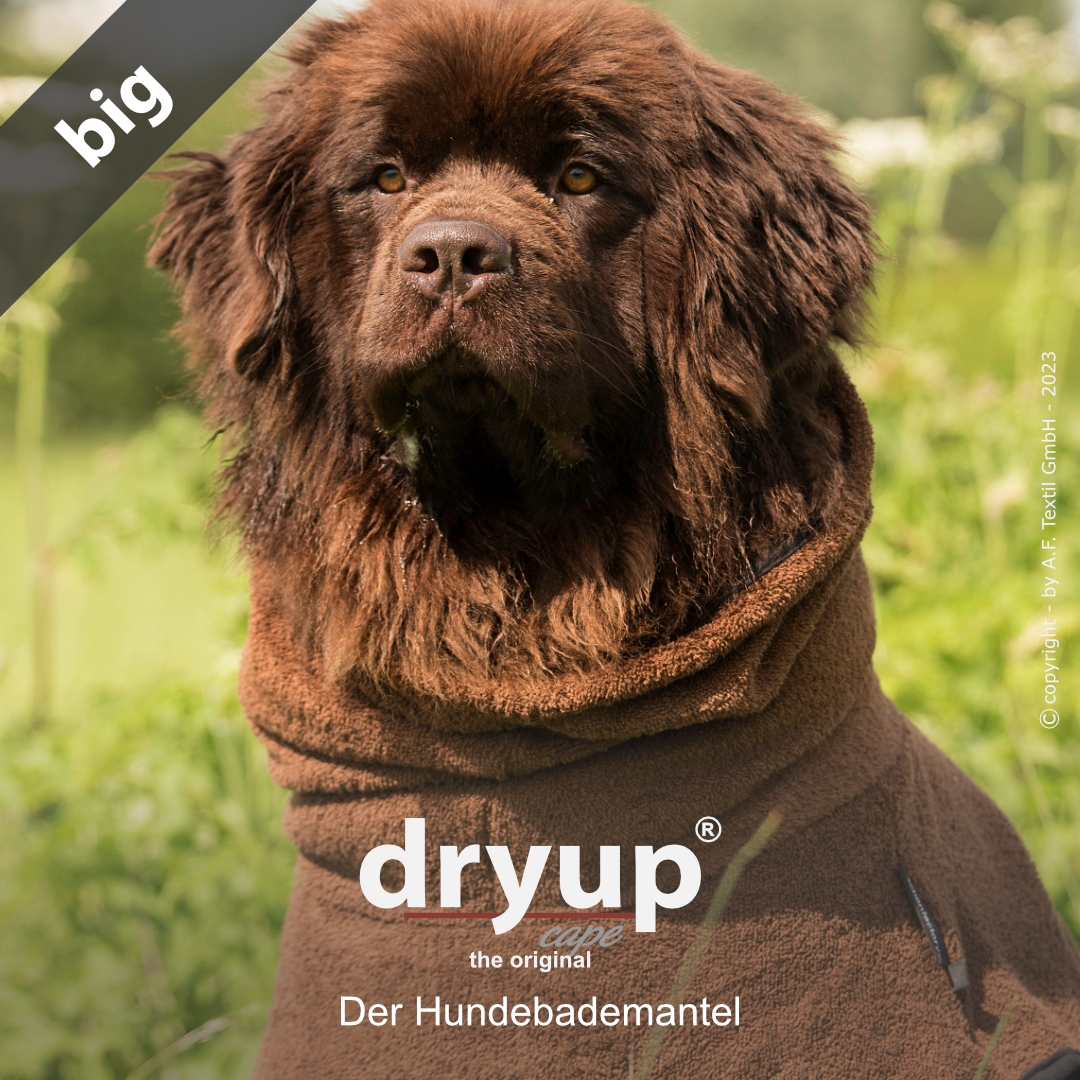 dryup® cape Big BROWN - Der original Hundebademantel