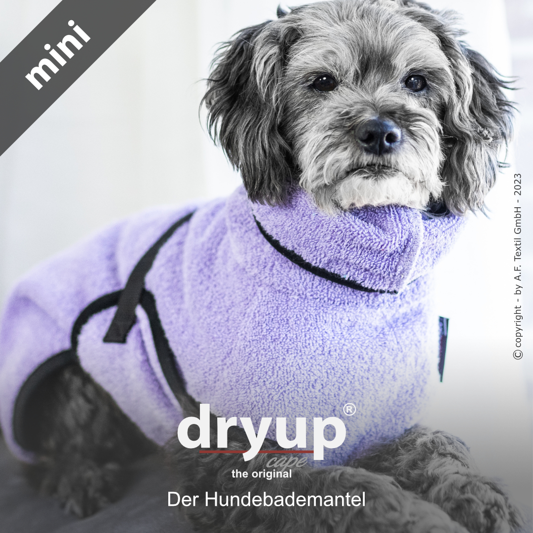 dryup® cape Mini LAVENDEL  - Der original Hundebademantel