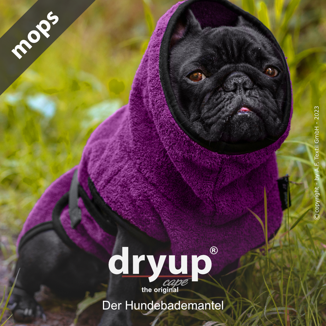 dryup® cape MOPS & CO BILBERRY - Der original Hundebademantel