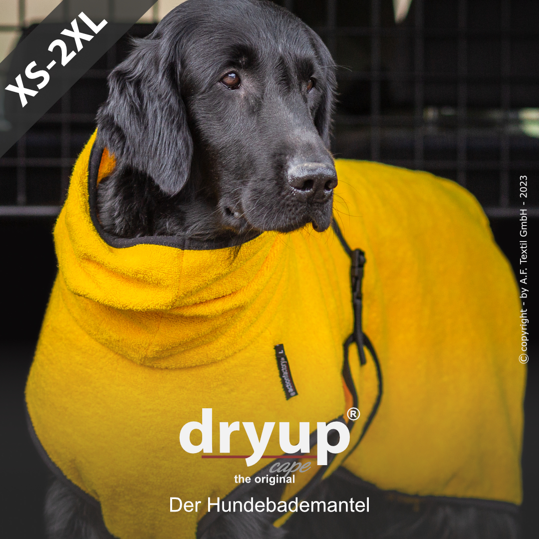 dryup® cape YELLOW - The original dog bathrobe