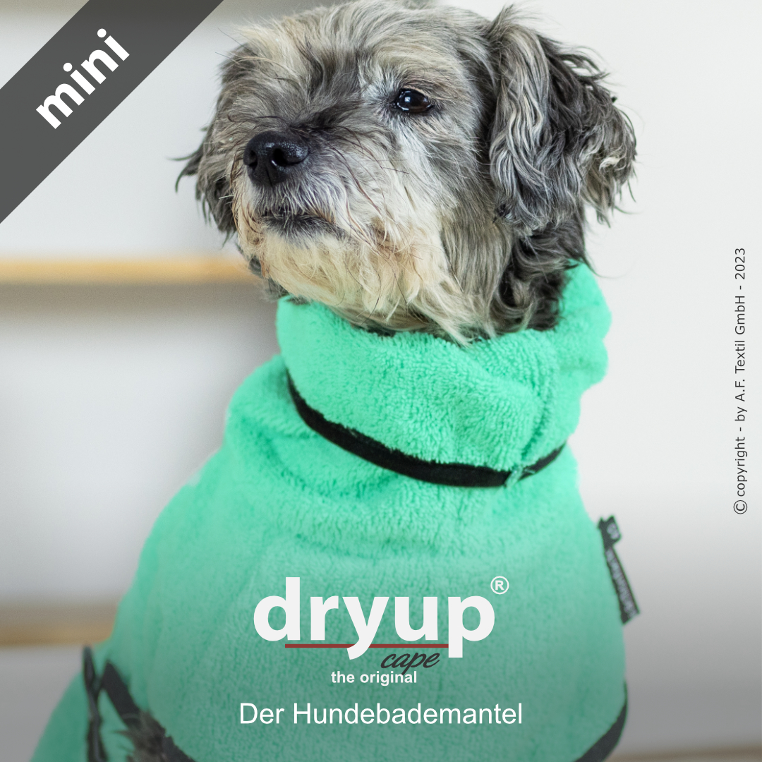 dryup® cape Mini MINT - Der original Hundebademantel