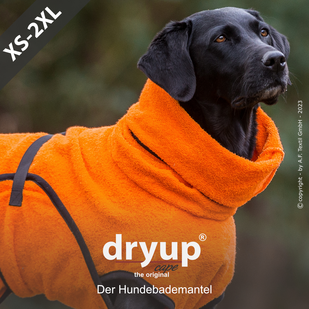dryup® cape CLEMENTINE - The original dog bathrobe
