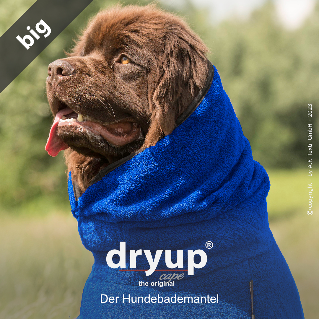 dryup® cape Big BLUEBERRY - Der original Hundebademantel