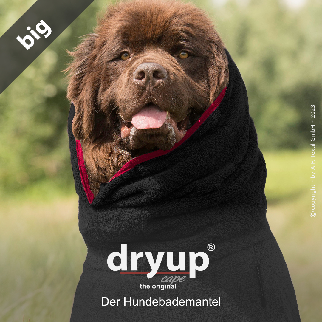 dryup® cape Big BLACK - Der original Hundebademantel