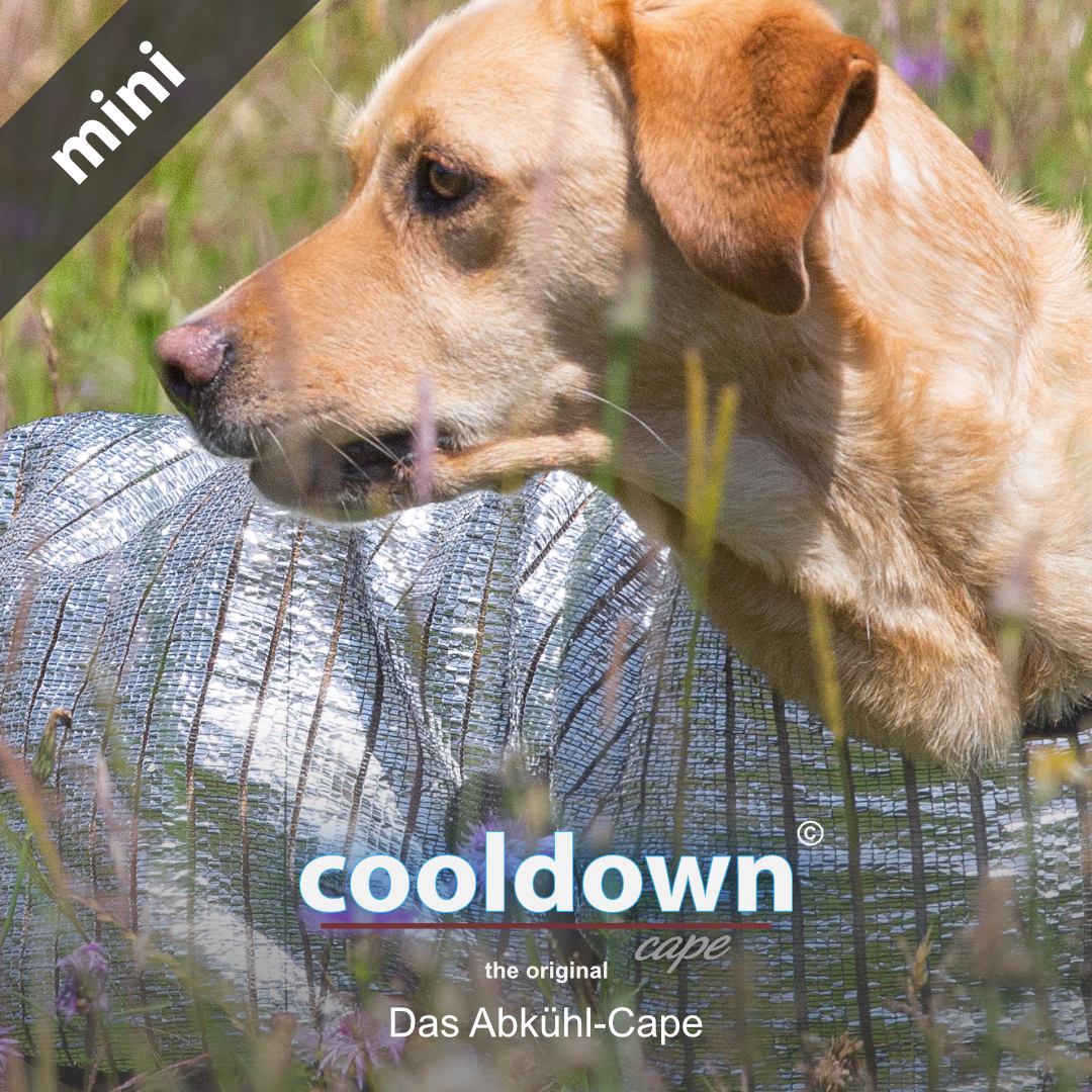Cooldown cape Mini