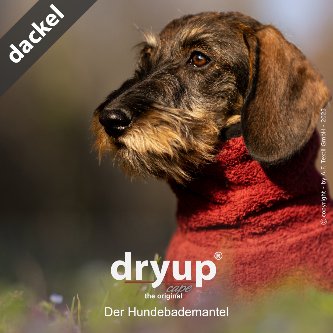 dryup® cape DACKEL BORDEAUX - Der original Hundebademantel