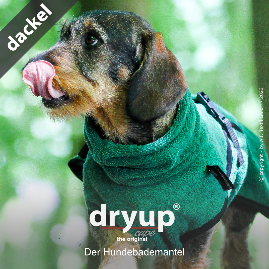 dryup® cape DACKEL DARK GREEN - Der original Hundebademantel
