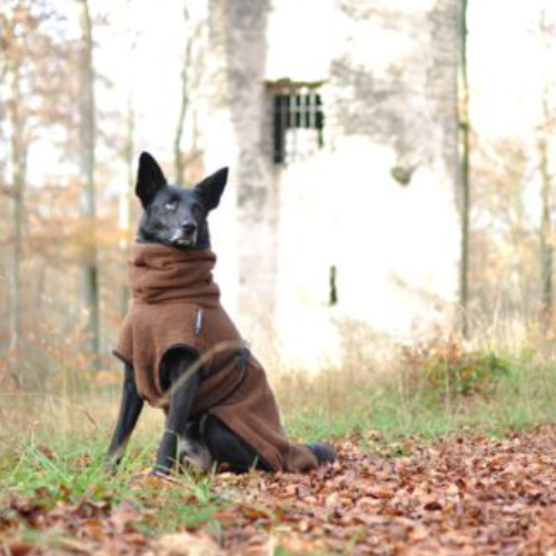hund trägt dryup cape vor einem turm