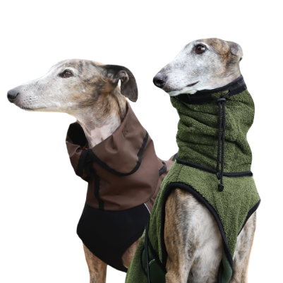 greyhound capes