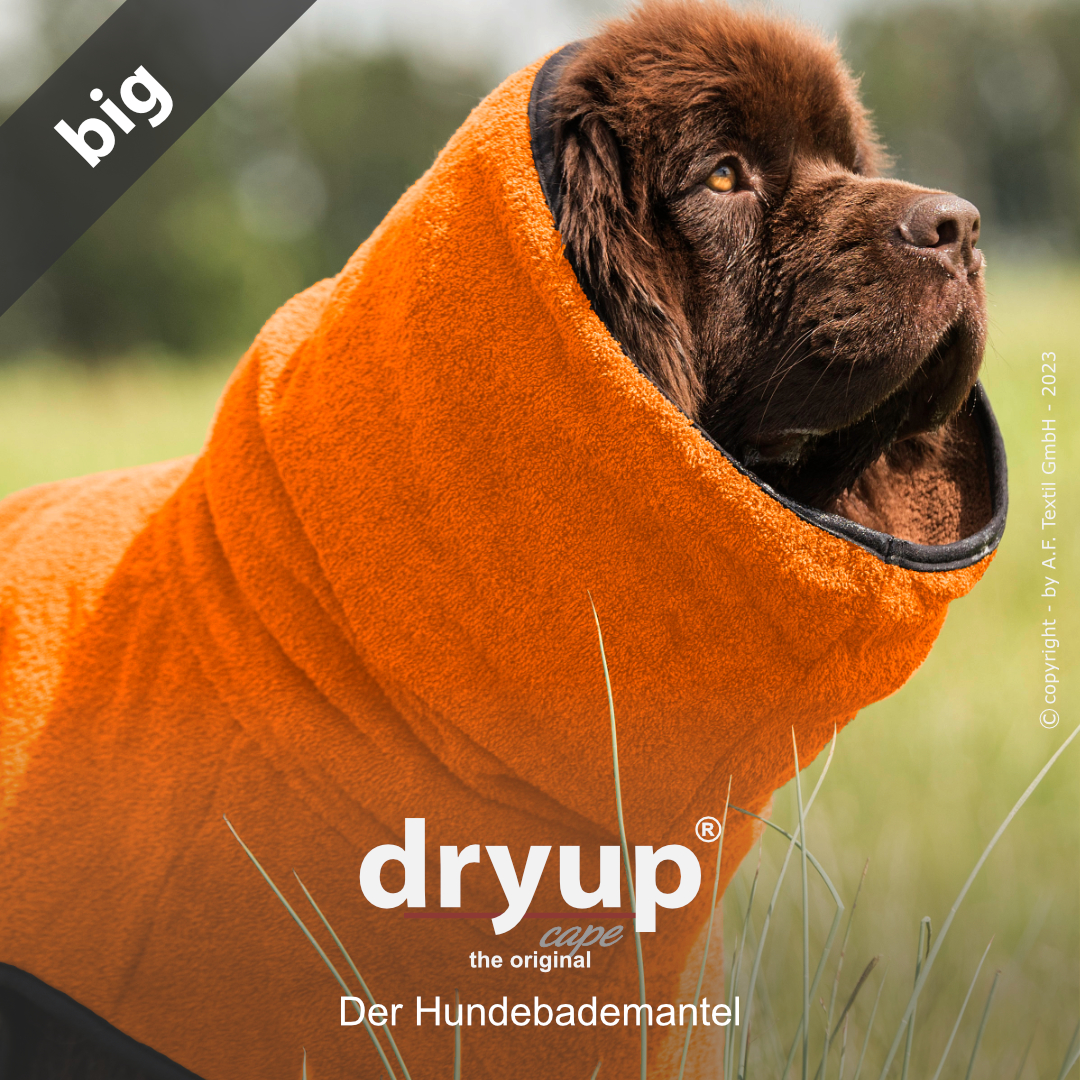 dryup® cape Big CLEMENTINE - Der original Hundebademantel