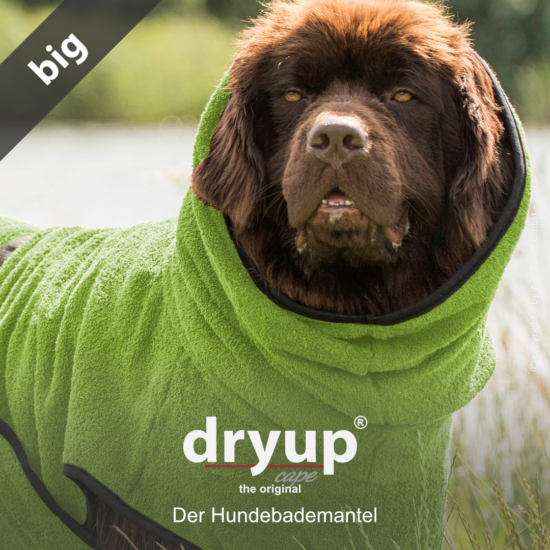 dryup® cape Big KIWI - Der original Hundebademantel