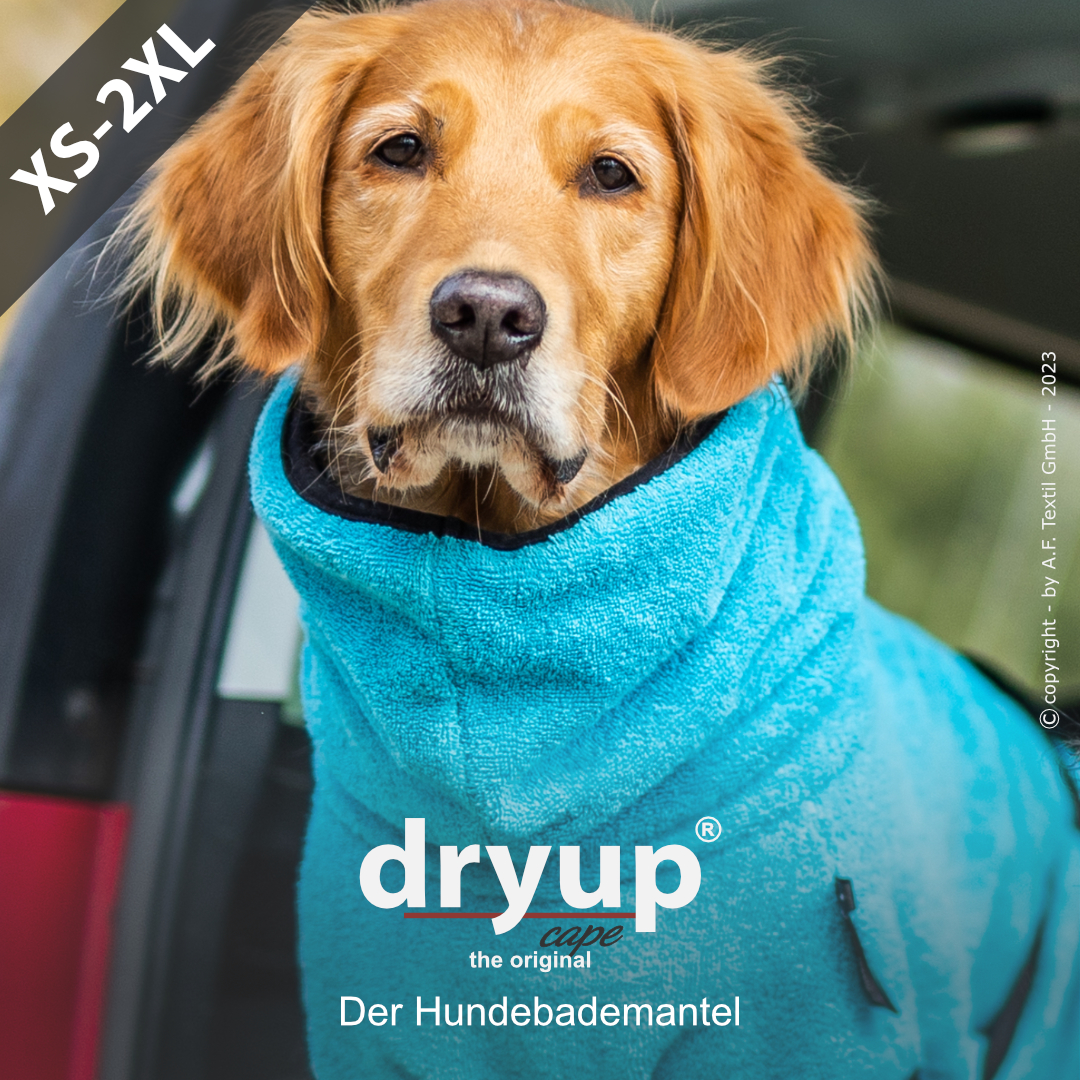 dryup® cape CYAN - The original dog bathrobe