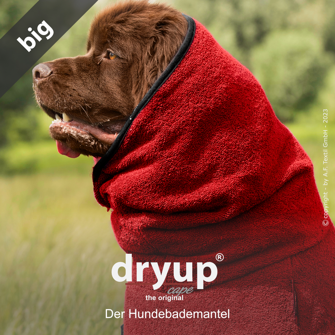 dryup® cape Big RED PEPPER - Der original Hundebademantel