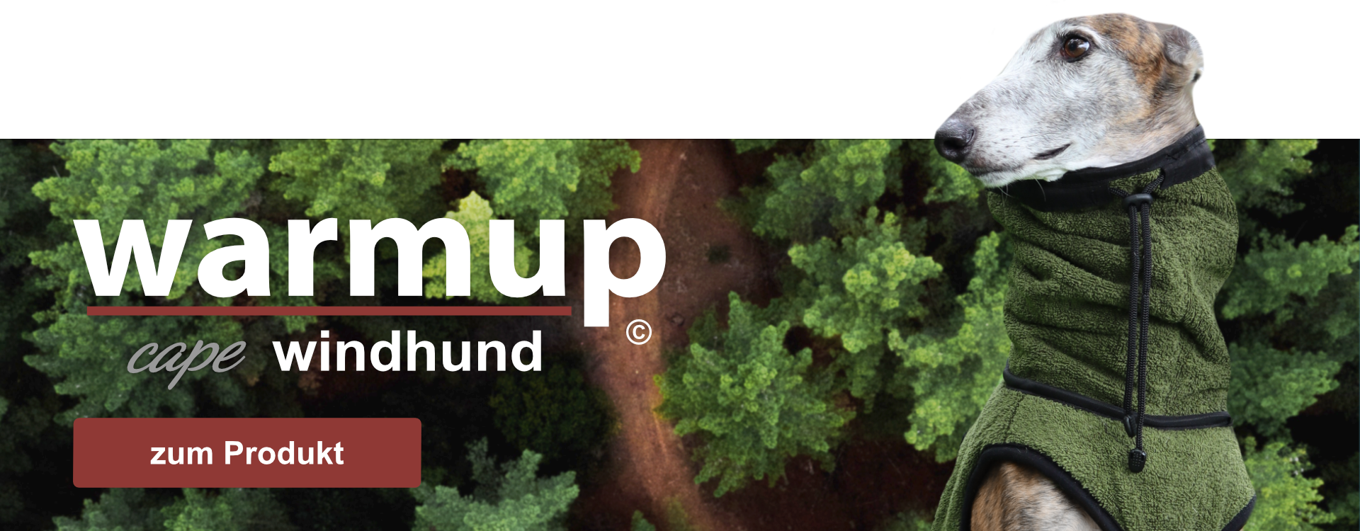 info-banner-warmup windhund