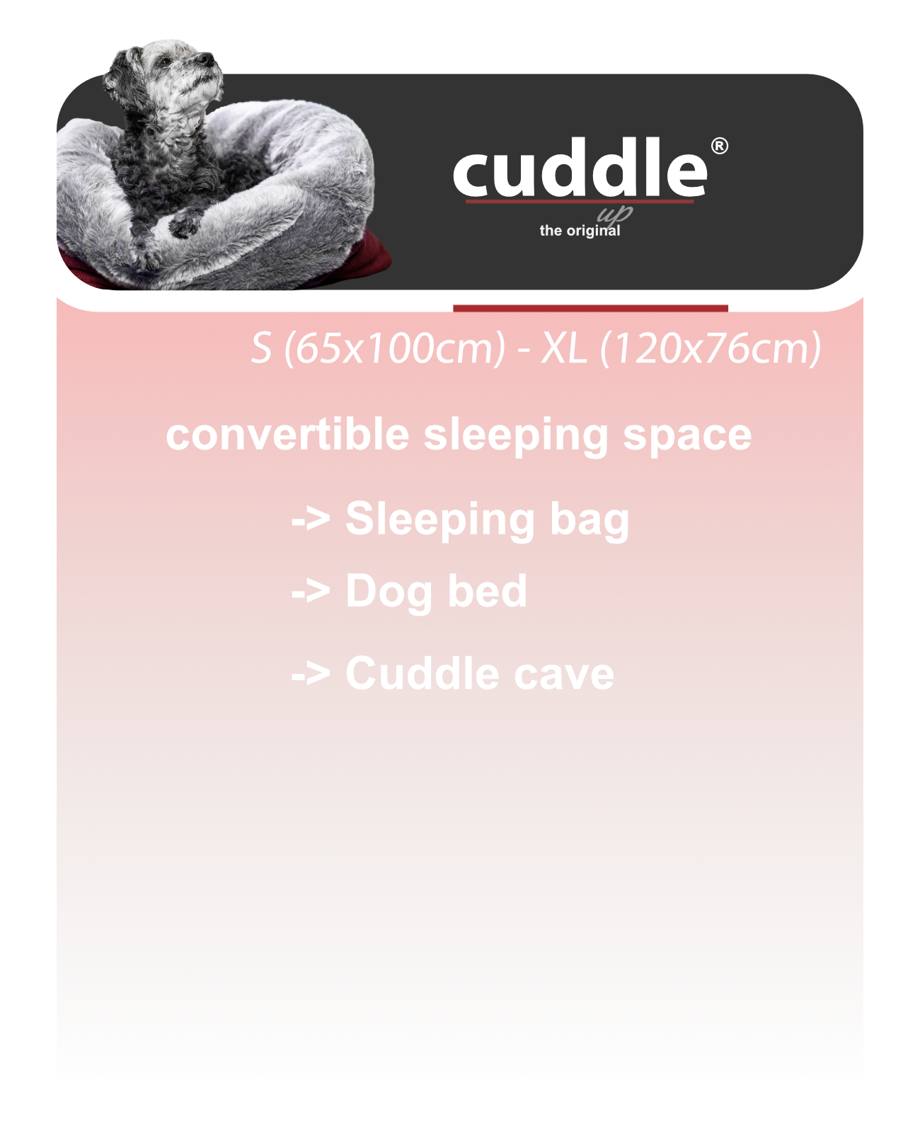 banner-cuddle.up-english