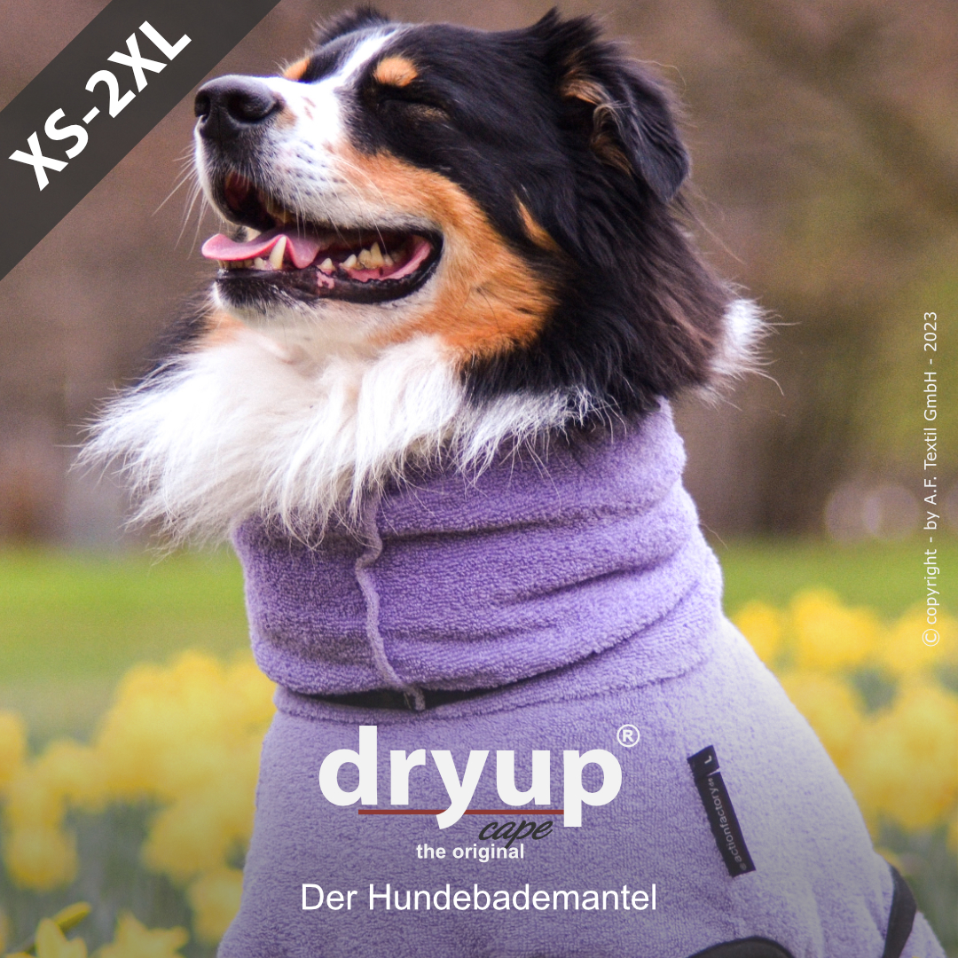 dryup® cape LAVENDEL - The original dog bathrobe